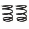 Brand new 👏 ARC Racing (2) Pack Of 22Lb Valve Springs 😀 -Cheap Honda Performance Parts Store 2 ARC DJ 1058 ITEMIMAGEURL1 35578.1601245498