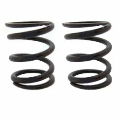 Brand new 👏 ARC Racing (2) Pack Of 22Lb Valve Springs 😀
