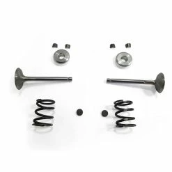 Discount 🎁 ARC Racing Stainless Steel Valve Kit Predator 212 Hemi Predator 224 Max Performance 🧨